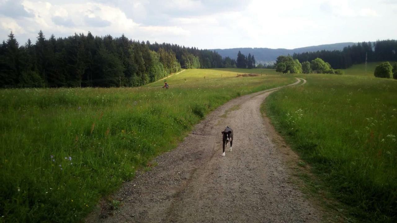 Chata Na Sousi Desna  Bagian luar foto