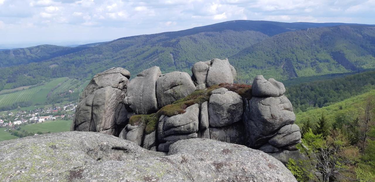 Chata Na Sousi Desna  Bagian luar foto